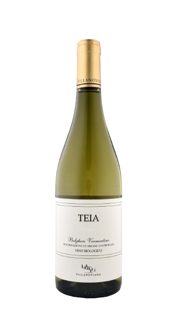 Villanoviana - Teia